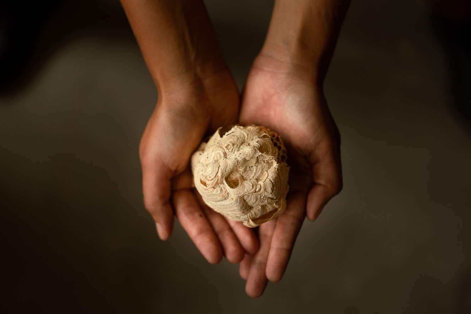 Migration of Matter_3D Printing ceramics berlin_Fariz hakim